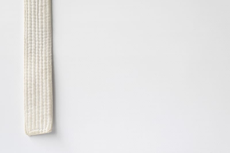 O Código do Iniciante: 7 Pilares para o Sucesso na Metodologia E.A.O.J