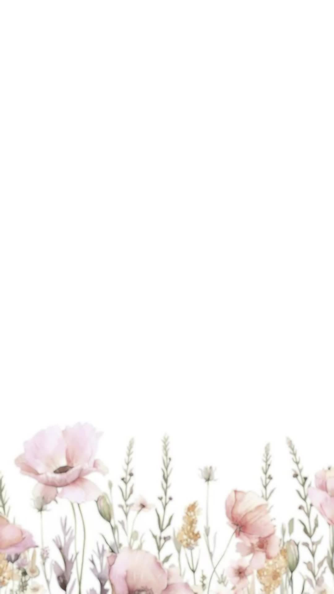 ثيم حفل تخرج د منار thumbnail