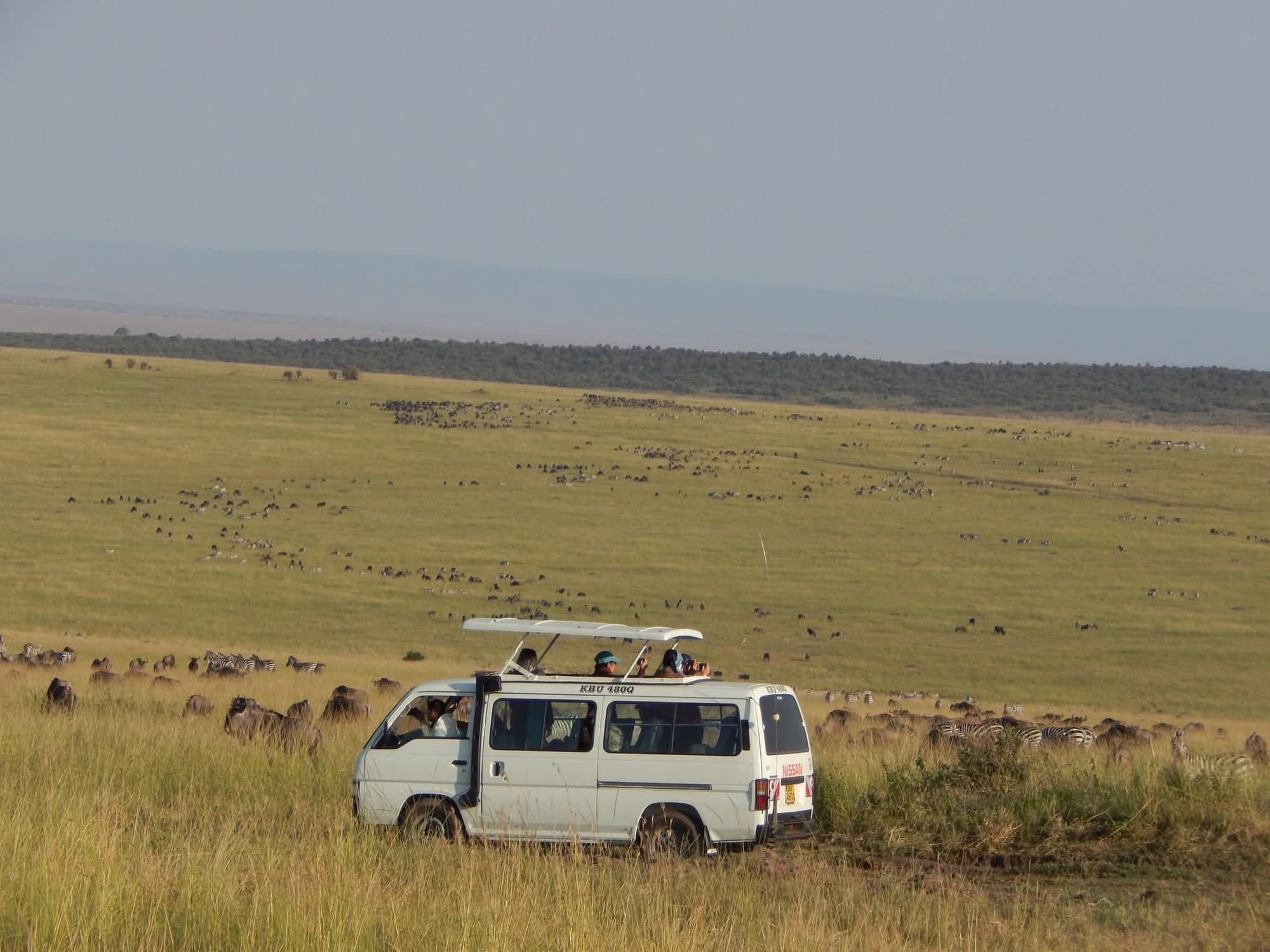 Masaimara Safari Booking