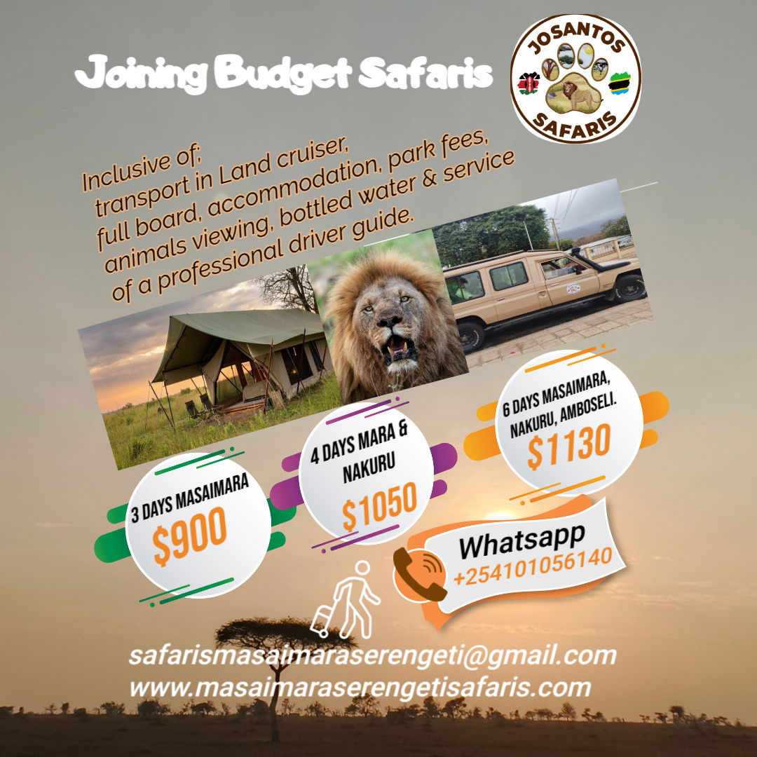 Cheap Masai Mara Safari Packages