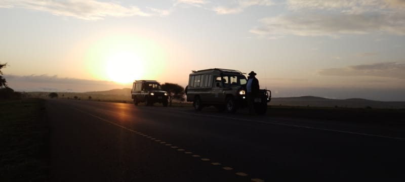 Tarangire, Manyara, Ngorongoro & Serengeti 8 Days