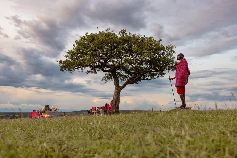 Custom Kenya and Tanzania Safari Itineraries