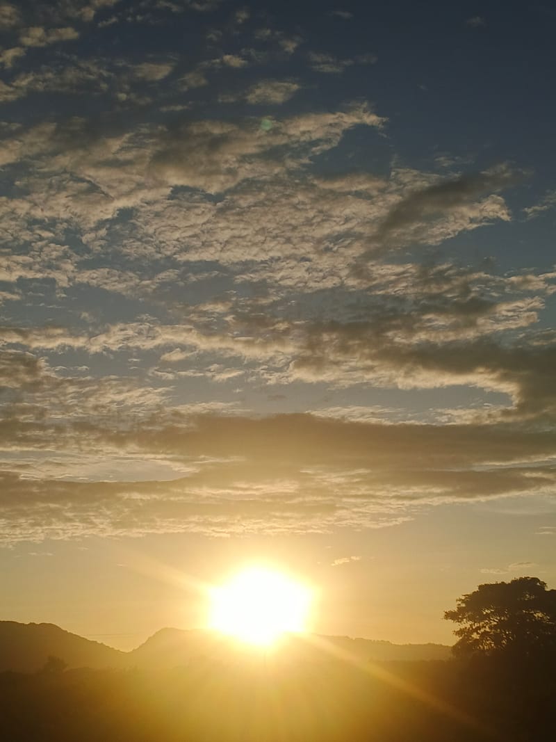 6 DAYS MASAIMARA & SERENGETI