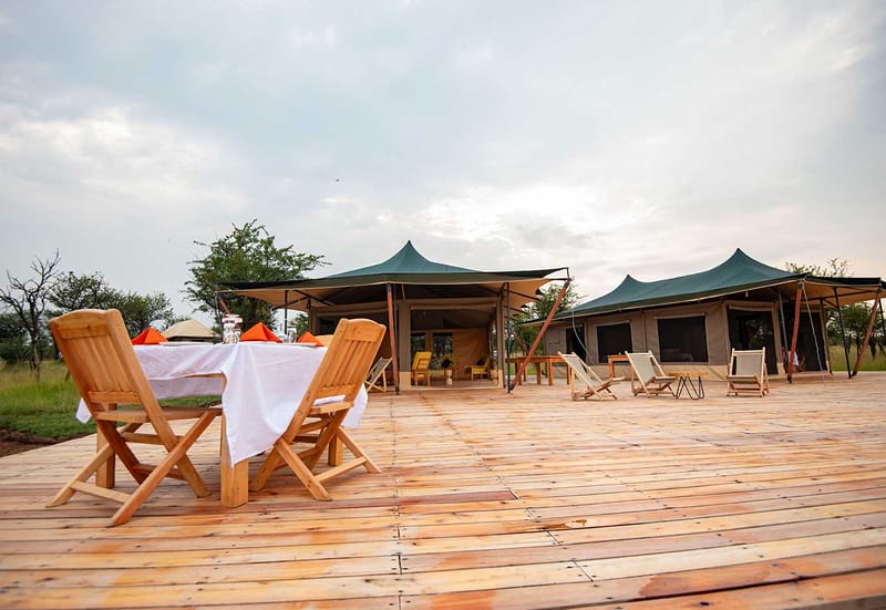 3 Days Masai Mara Joining Safari | Affordable Wildlife Safari 2026 | Josantos Safaris