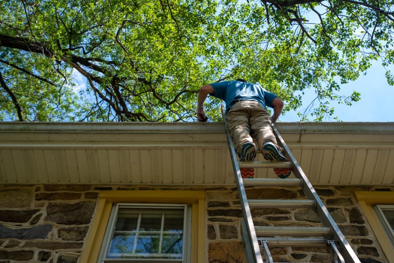 Gutter Cleaning & Maintenance