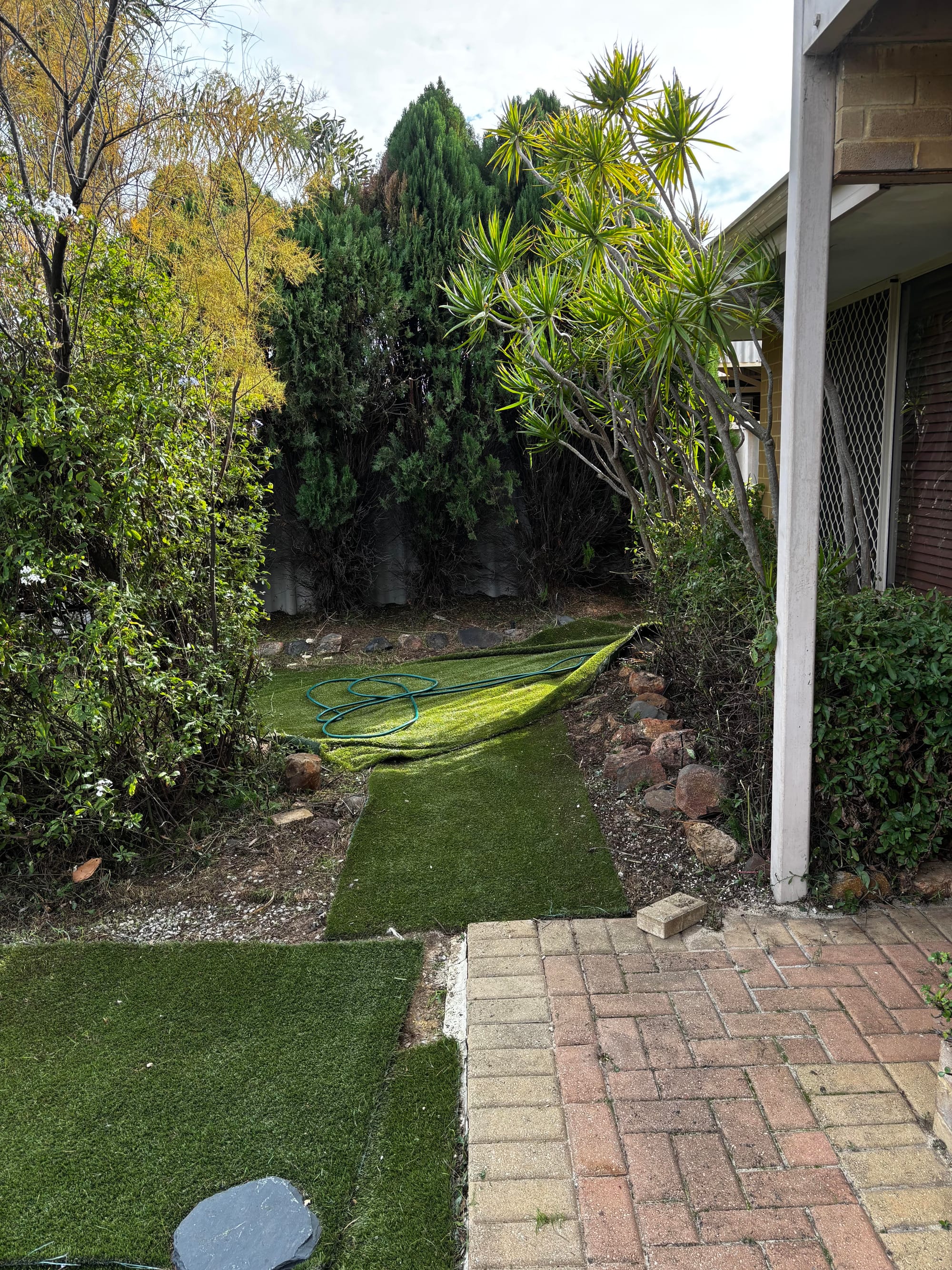 After: Front yard clean up