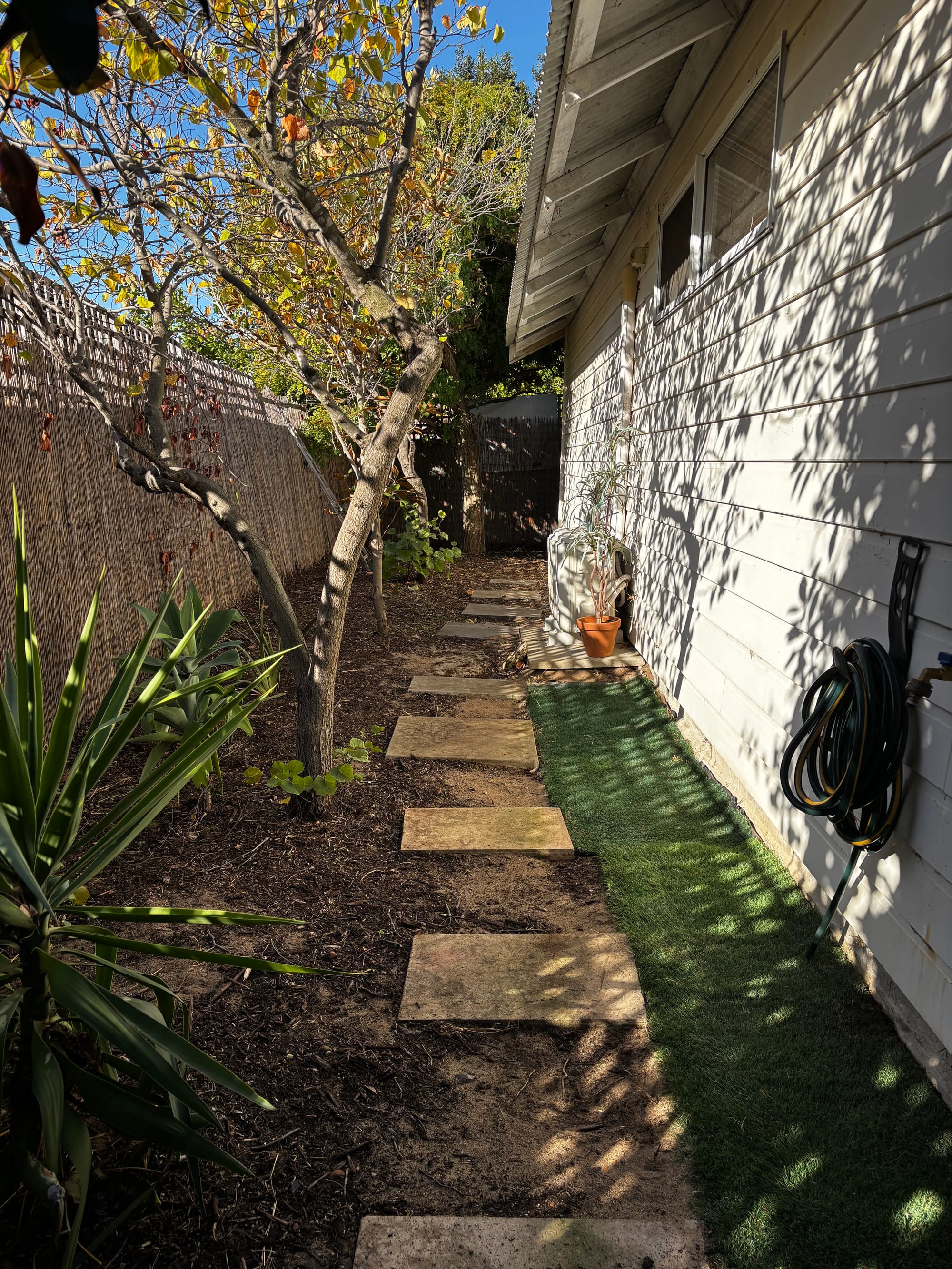 After: Backyard clean up