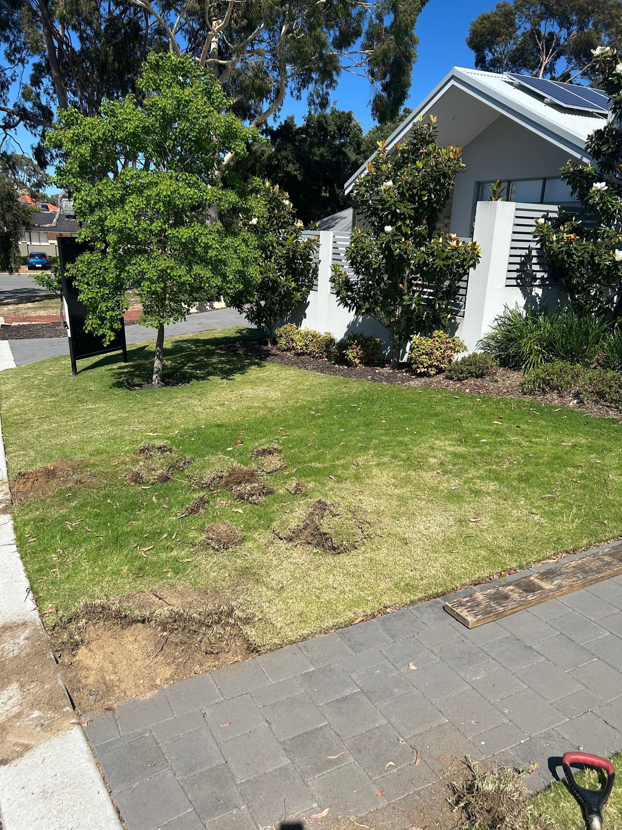 Before: Frontyard landscaping