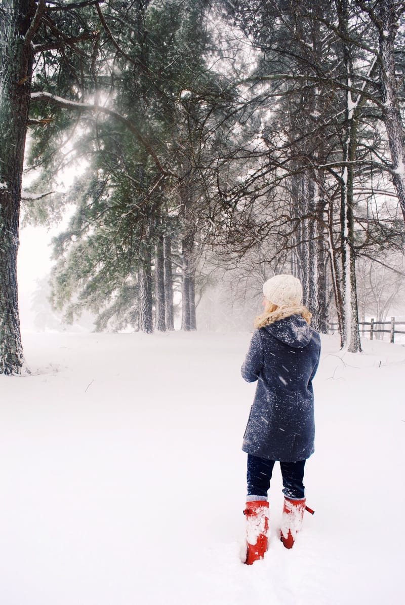 Photgraphy for Various Clients