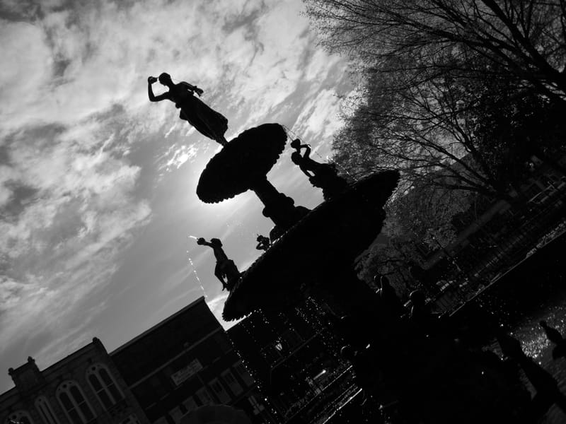 Photgraphy for Various Clients