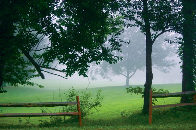 Photgraphy for Various Clients