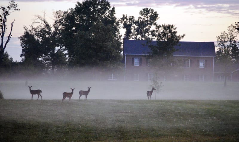 Photgraphy for Various Clients