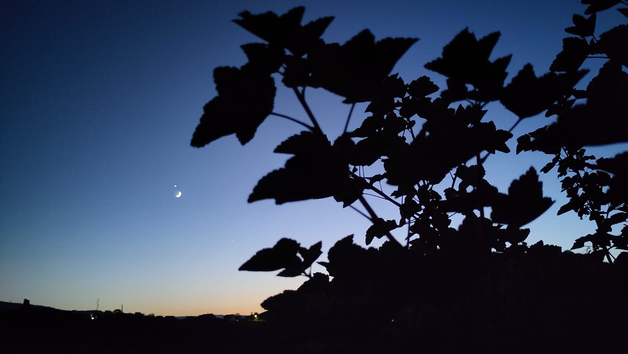 Quand la lune joue à faire des wing over avec Vénus!