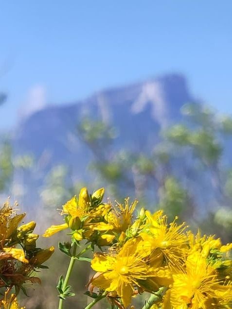 L'heure du repos: Camping au jardin ou chambre chez l'habitant