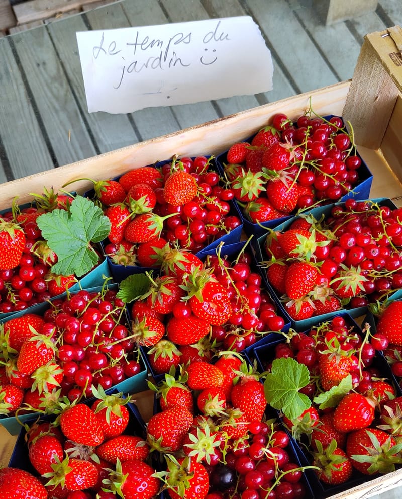 Le temps du Jardin: Production paysanne de petits fruits