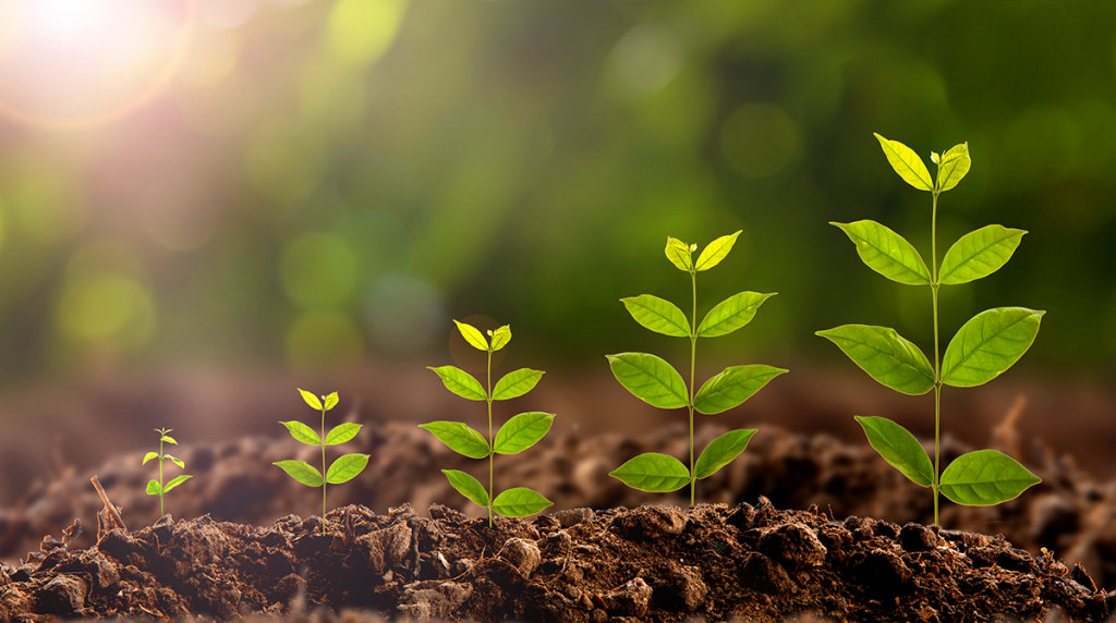 Promoting Ecological Conversion and Action for Greener Communities