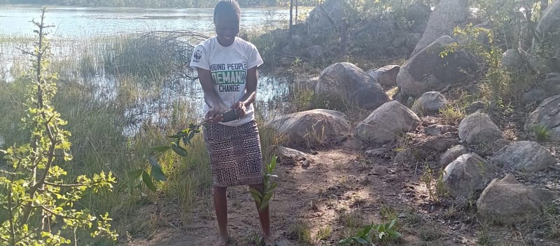 Healing Land, Uplifting Youth (One Person, One Hectare at a Time)