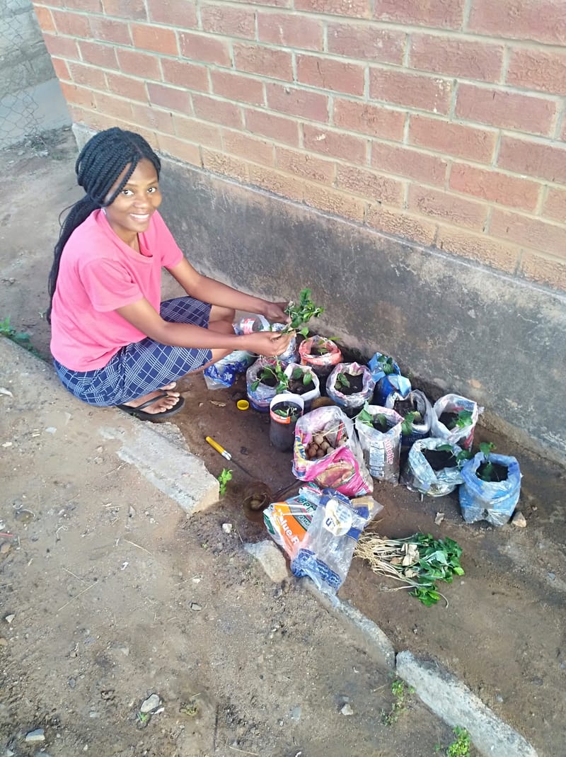 Nature Conservation, Land Restoration, Soil Healthy, Climate Action