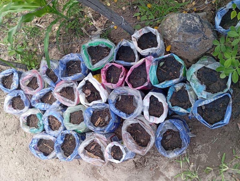 Nature Conservation, Land Restoration, Soil Healthy, Climate Action