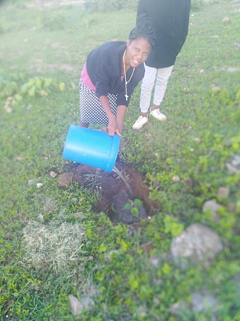 Nature Conservation, Land Restoration, Soil Healthy, Climate Action