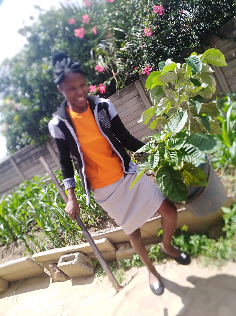 Nature Conservation, Land Restoration, Soil Healthy, Climate Action