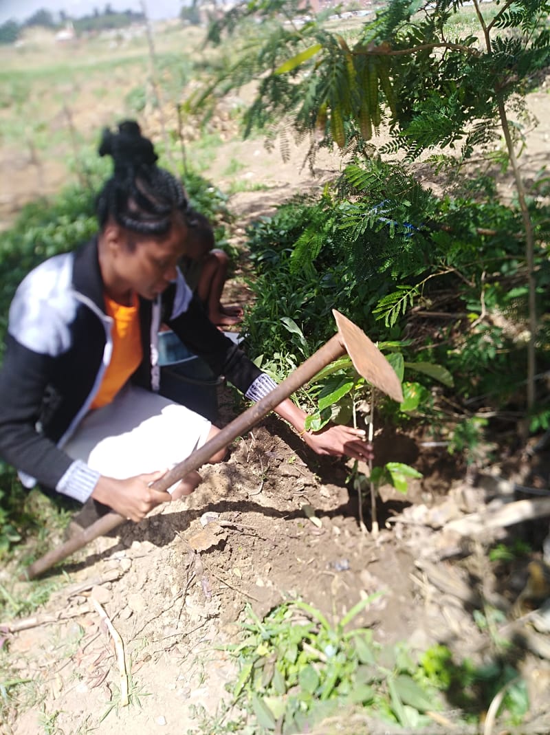 Nature Conservation, Land Restoration, Soil Healthy, Climate Action