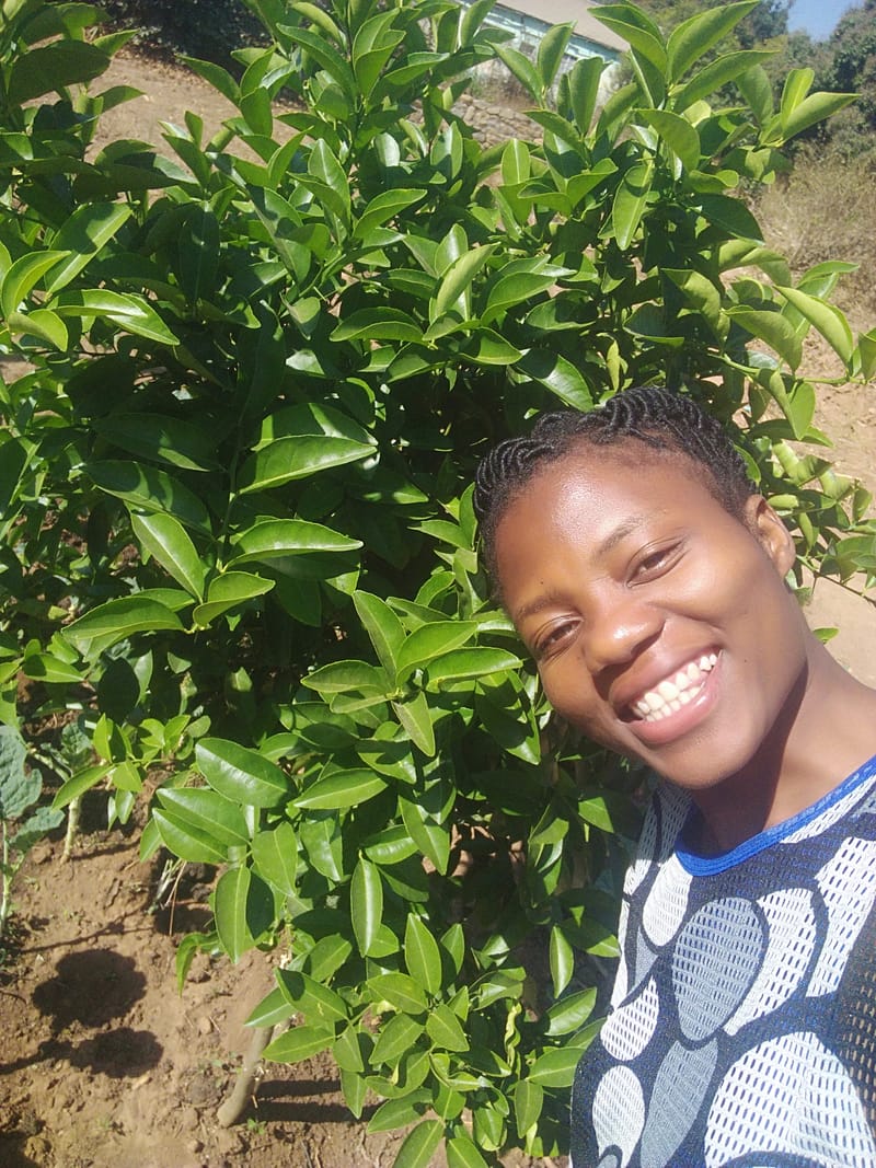 Nature Conservation, Land Restoration, Soil Healthy, Climate Action