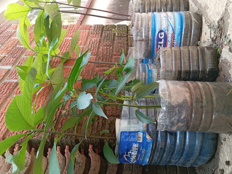 Nature Conservation, Land Restoration, Soil Healthy, Climate Action