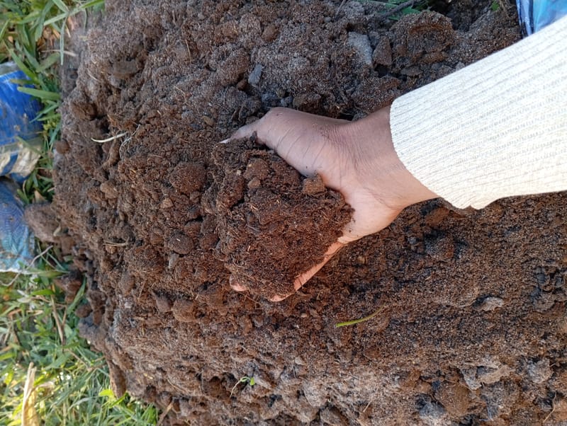 Nature Conservation, Land Restoration, Soil Healthy, Climate Action