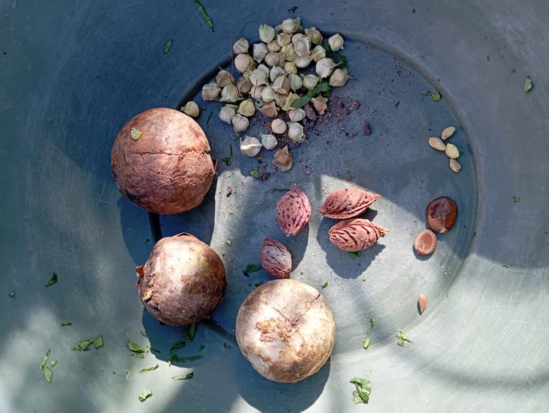 Nature Conservation, Land Restoration, Soil Healthy, Climate Action