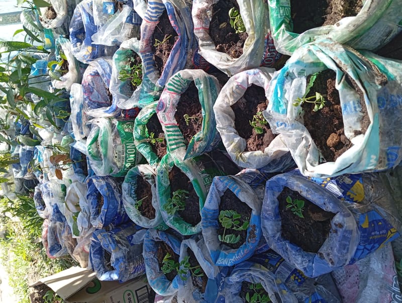 Nature Conservation, Land Restoration, Soil Healthy, Climate Action