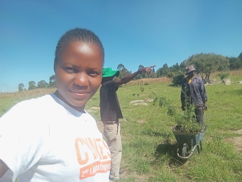 Nature Conservation, Land Restoration, Soil Healthy, Climate Action