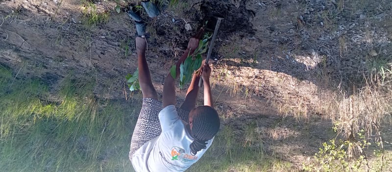 Nature Conservation, Land Restoration, Soil Healthy, Climate Action