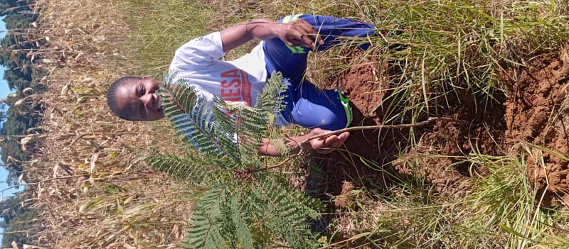 Nature Conservation, Land Restoration, Soil Healthy, Climate Action