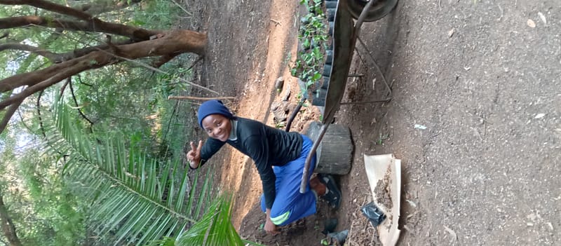 Nature Conservation, Land Restoration, Soil Healthy, Climate Action