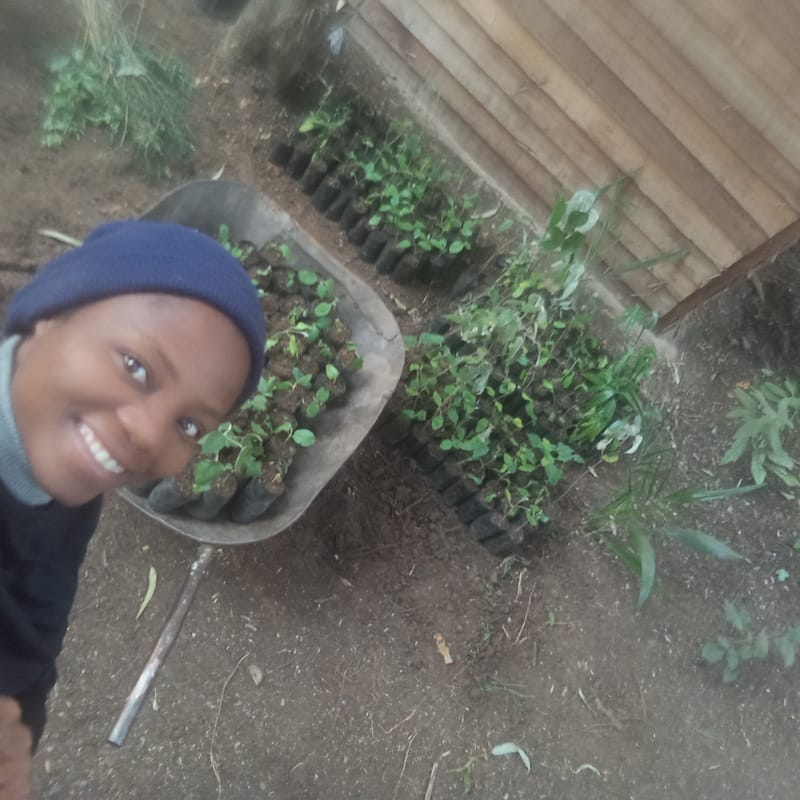 Nature Conservation, Land Restoration, Soil Healthy, Climate Action