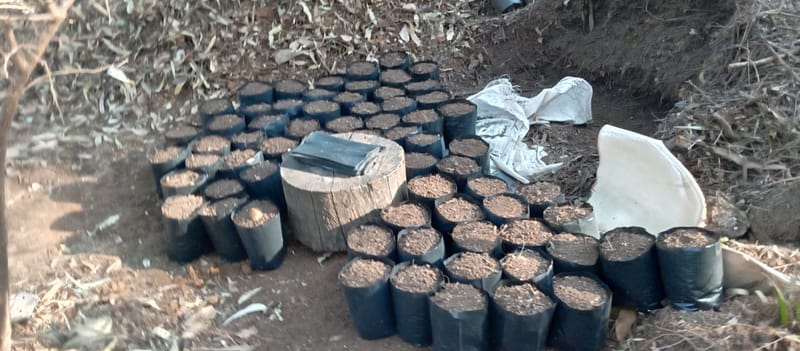 Nature Conservation, Land Restoration, Soil Healthy, Climate Action