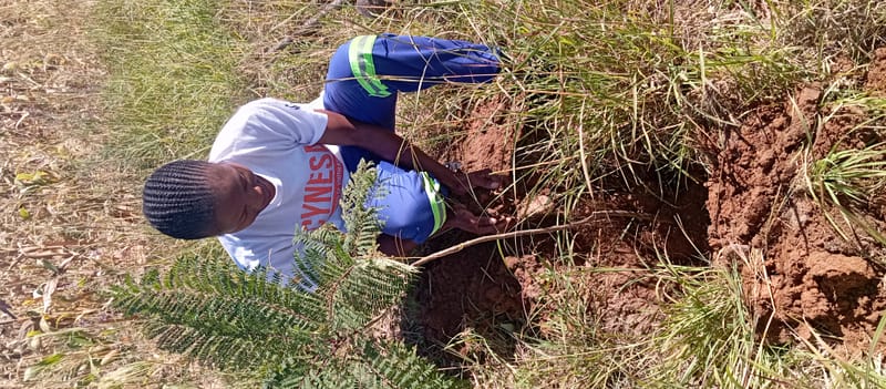 Nature Conservation, Land Restoration, Soil Healthy, Climate Action