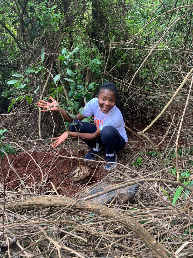 Nature Conservation, Land Restoration, Soil Healthy, Climate Action