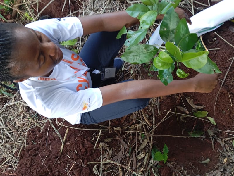 Nature Conservation, Land Restoration, Soil Healthy, Climate Action