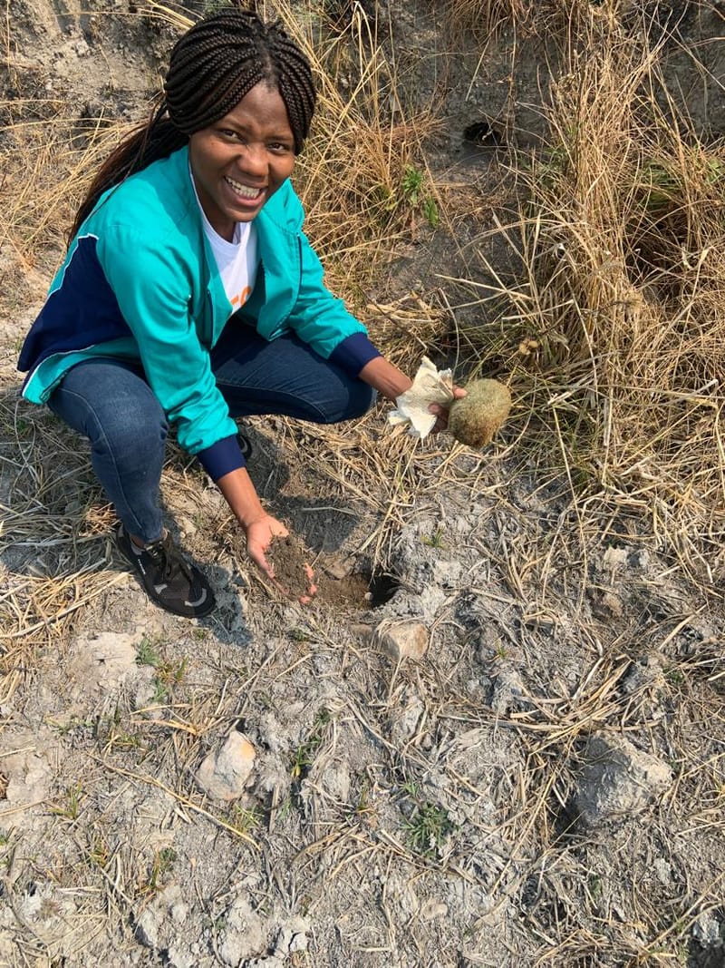 Nature Conservation, Land Restoration, Soil Healthy, Climate Action