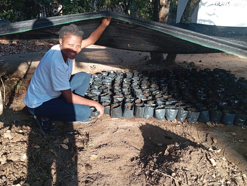 Nature Conservation, Land Restoration, Soil Healthy, Climate Action