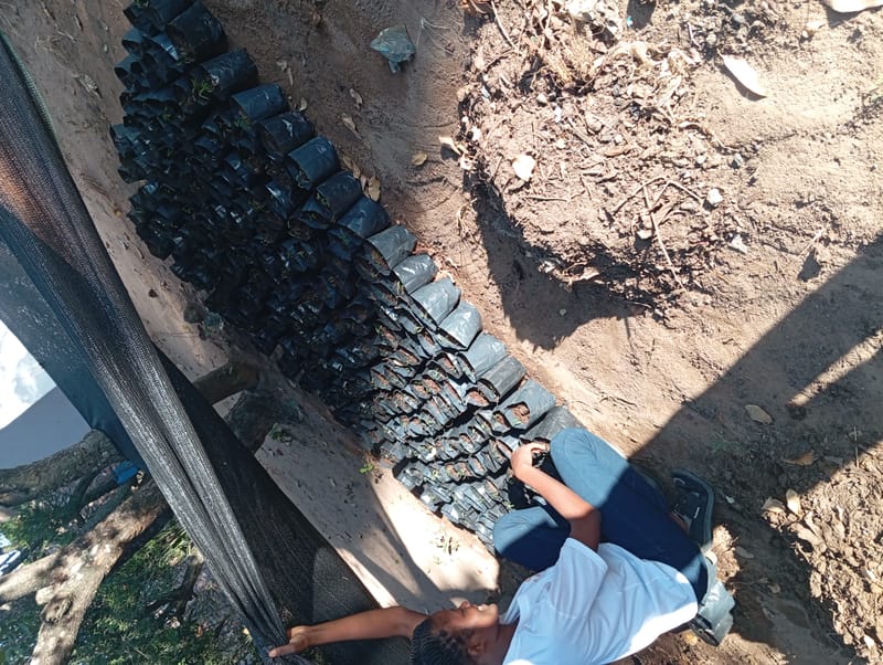 Nature Conservation, Land Restoration, Soil Healthy, Climate Action