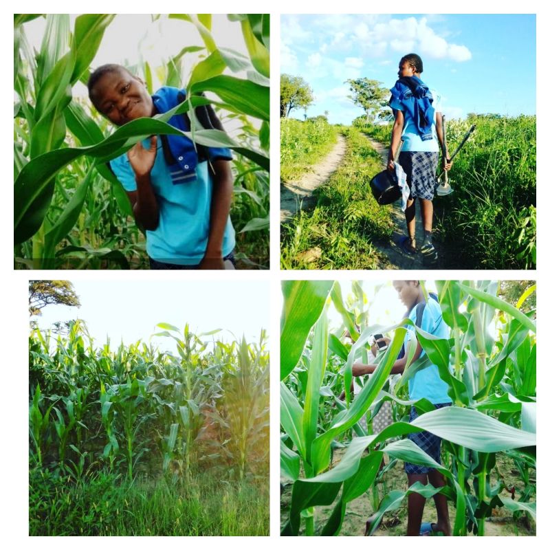 Crop Production & Value Addition