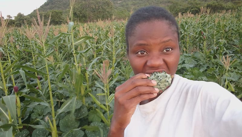 Crop Production & Value Addition