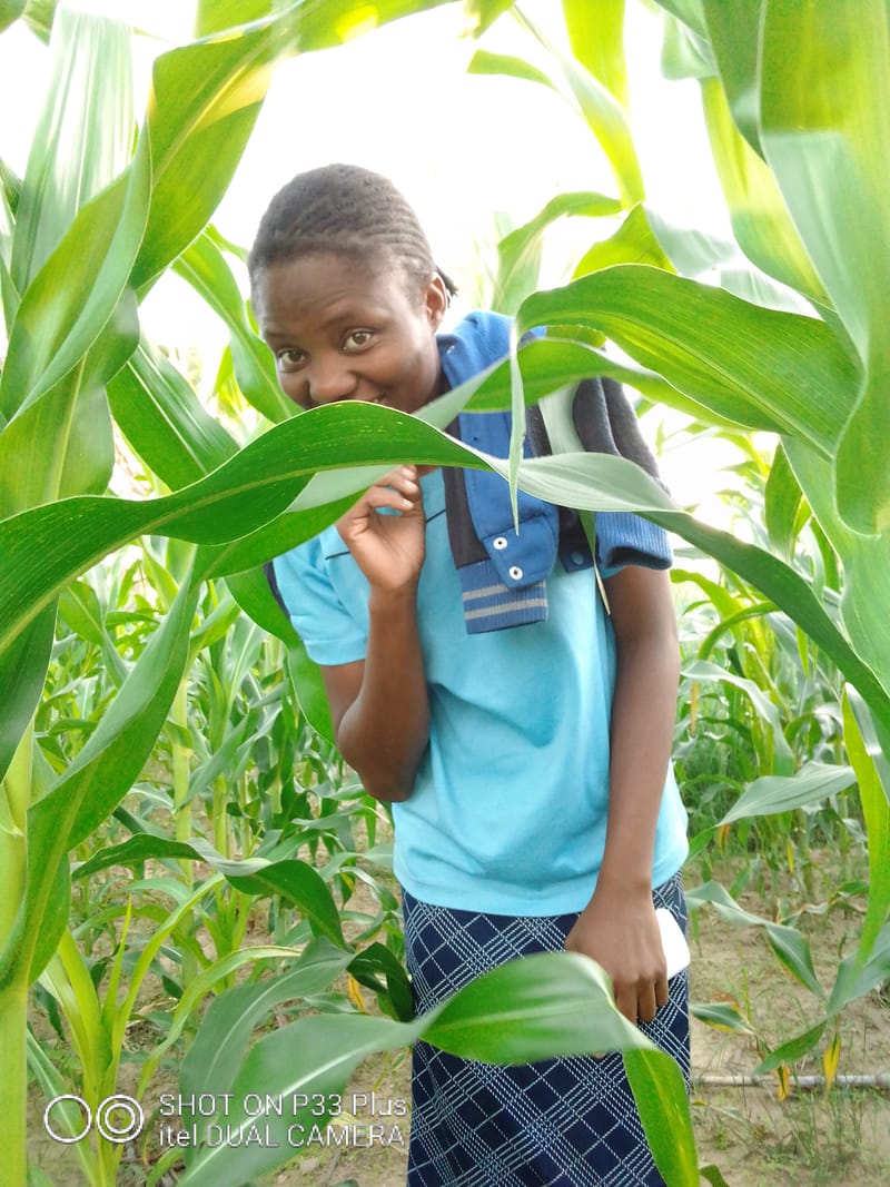 Crop Production & Value Addition