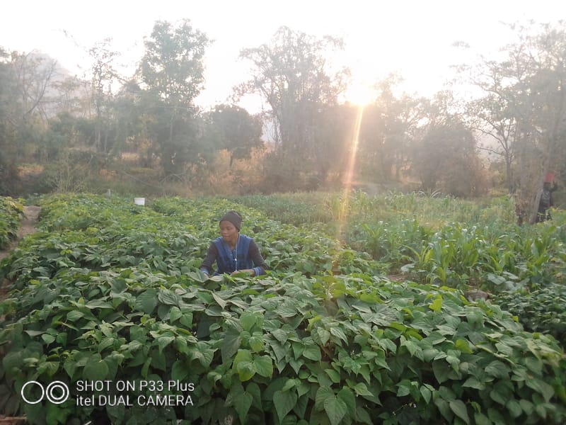 Crop Production & Value Addition