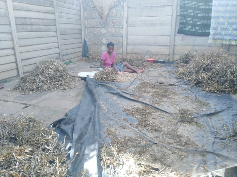 Crop Production & Value Addition