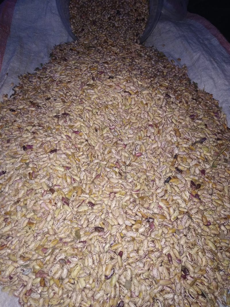 Crop Production & Value Addition