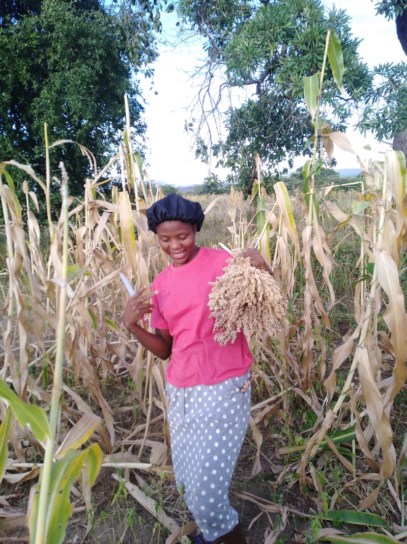 Crop Production & Value Addition